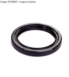 RETENT POLIA D20/D10/F350 MOTOR MWM