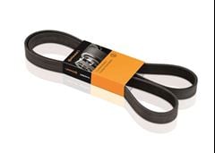 CORR ALT FOCUS 1.6 16V SIGMA 11/...
