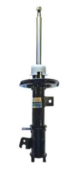 AMORT DT BYD DOLPHIN MINI 24/25 LE