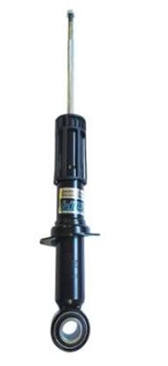AMORT TS BYD DOLPHIN MINI 24/25