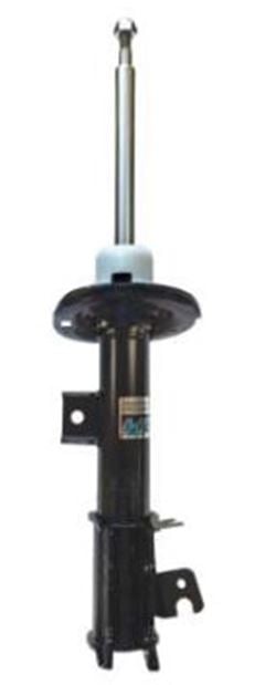 AMORT DT BYD DOLPHIN 23/25 LD