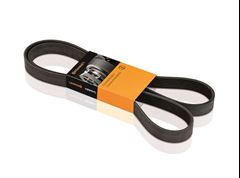 CORR POLY-V INT DT 466E GIR/ ALT/BA/DH