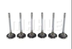 VALV ESCAP UNO/PALIO 1.0 8V 03/.. 7MM