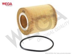 FILTRO LUB RANGE ROVER SPORT/DISC